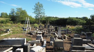 59 Workshop Revitalizace hřbitova ve Svatoboru 5. - 8. 7. 2018     